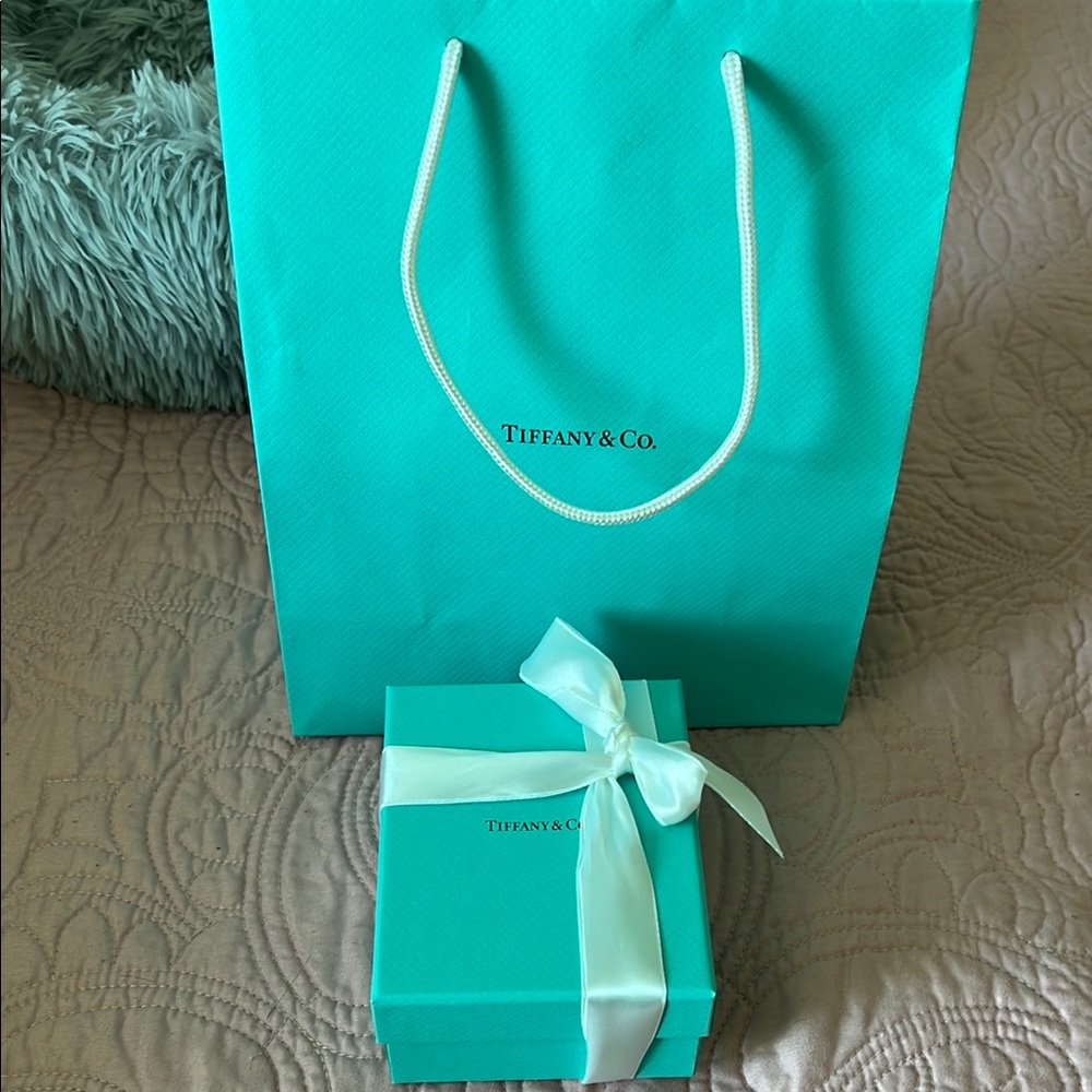 Tiffany & Co. Blue Gift Bag and Box